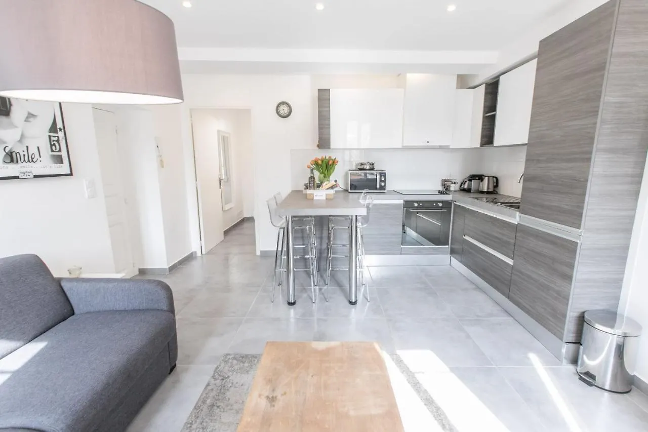 Apartment Cannes Croisette Rue Meynadier Palais 1 Mn Modern 1 Bedroom By Olam Properties France